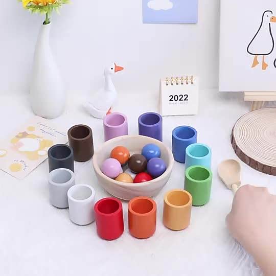 Wooden Colour Sorting Toy — 12 Balls & 12 Cups | Montessori Toddler Toy