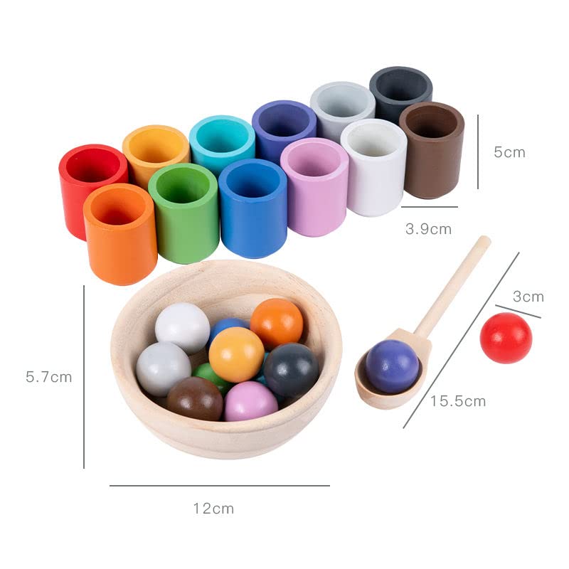 Wooden Colour Sorting Toy — 12 Balls & 12 Cups | Montessori Toddler Toy