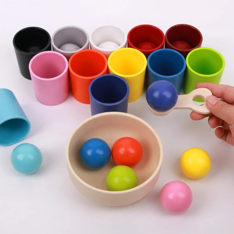 Wooden 12-Colour Sorting Toy — Montessori Balls & Cups Set with Safe 40mm Balls (Ages 3-7)