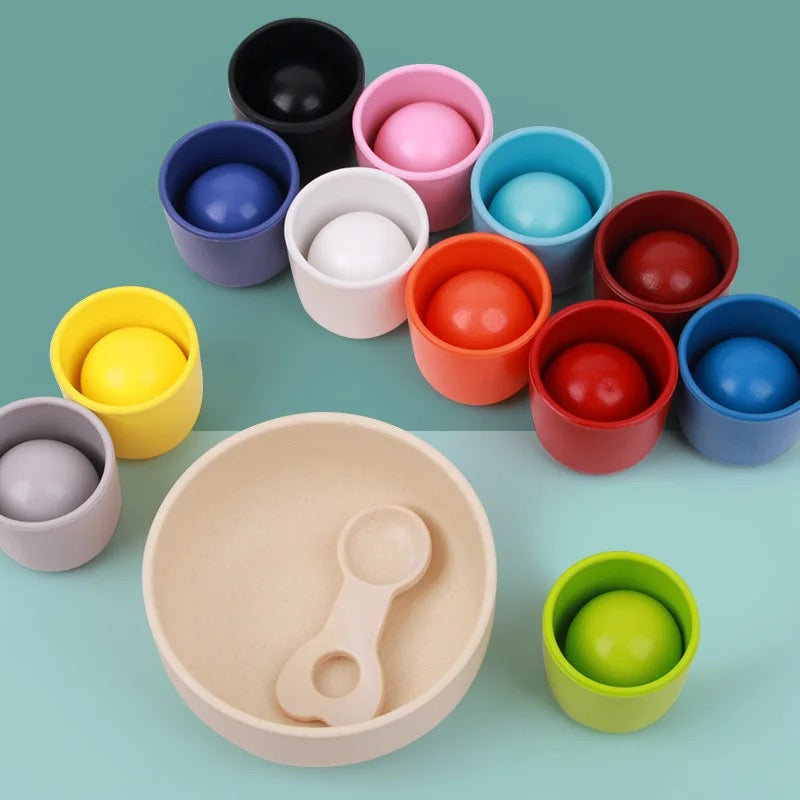 Wooden 12-Colour Sorting Toy — Montessori Balls & Cups Set with Safe 40mm Balls (Ages 3-7)