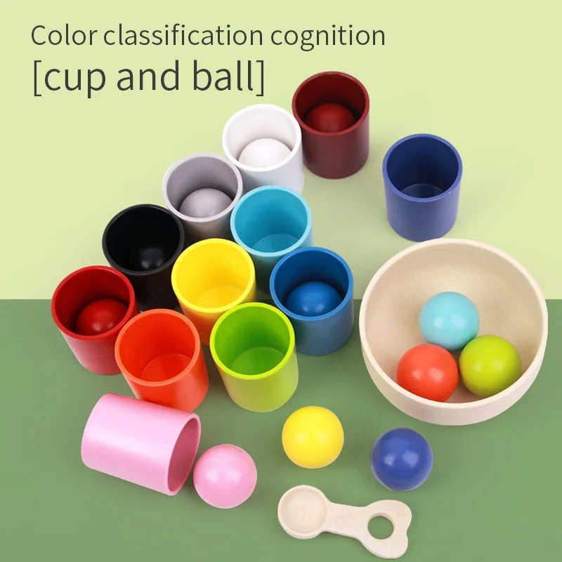 Wooden 12-Colour Sorting Toy — Montessori Balls & Cups Set with Safe 40mm Balls (Ages 3-7)