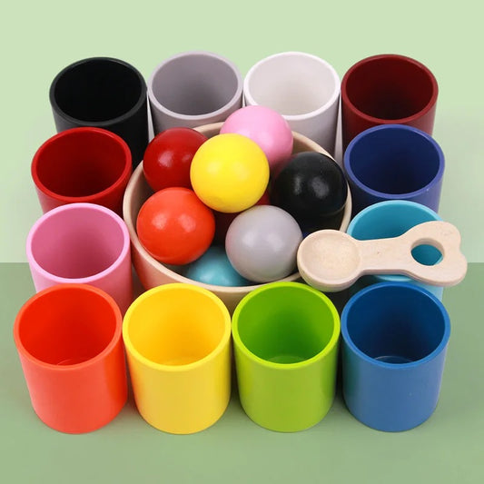 Wooden 12-Colour Sorting Toy — Montessori Balls & Cups Set with Safe 40mm Balls (Ages 3-7)